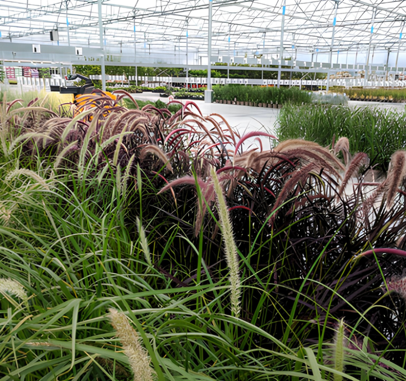 66385309-1591-41ac-aaab-5bd5e03d03ee